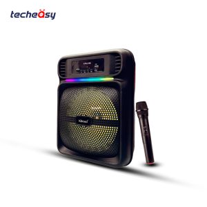 KTS-2168Speaker Wireless With Microphone